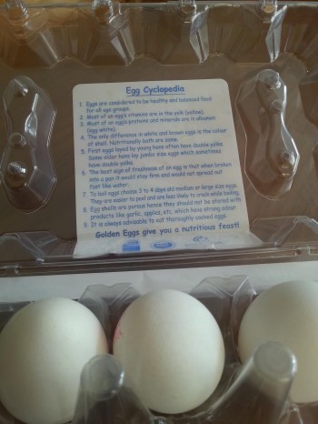 Egg user manual