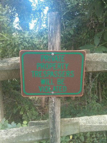 I don't think I'm going to cross this fence