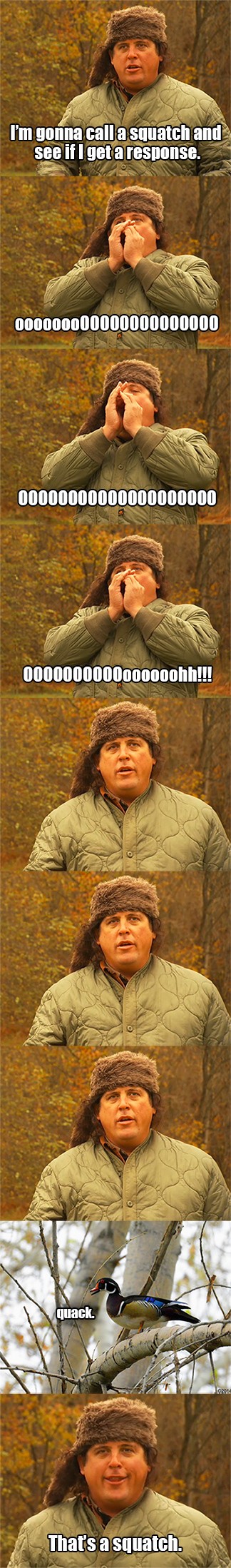 Finding Bigfoot