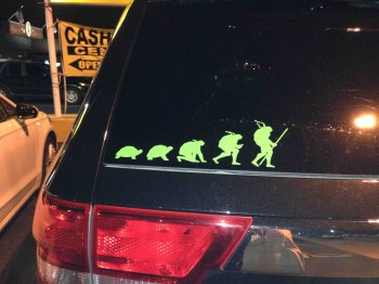 Turtles