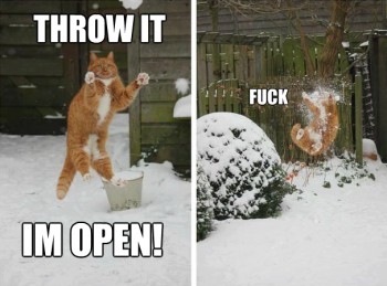 Throw it! I'm Open!