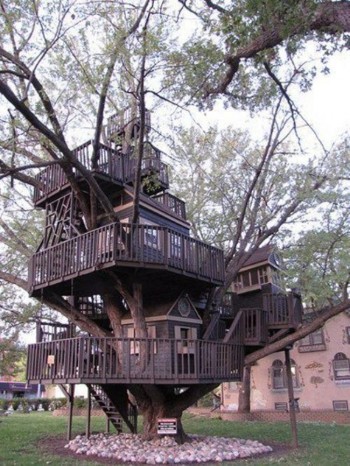 Tree Mansion