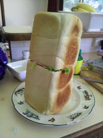 Only had enough bread for one sandwich