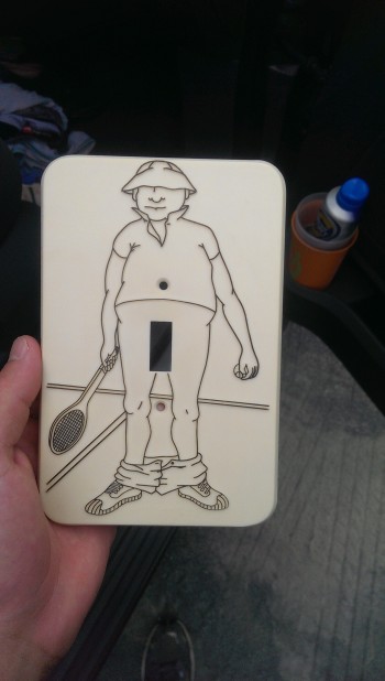 Got a new light switch cover