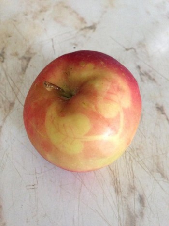 Apple Tan
