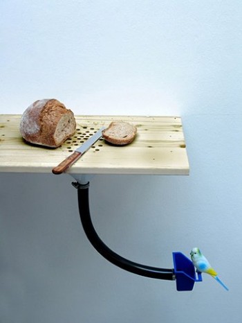 Bird Feeder