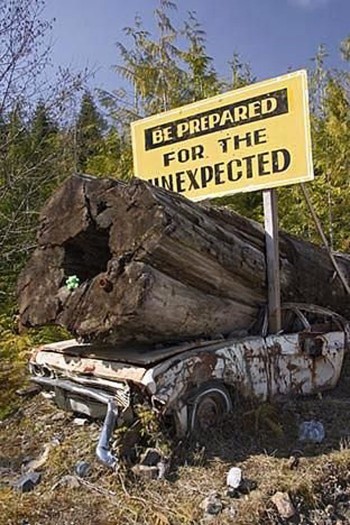 The Unexpected