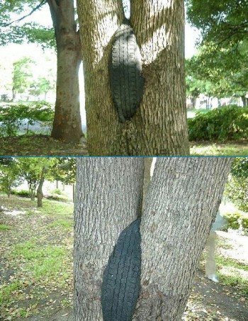 Tired Tree