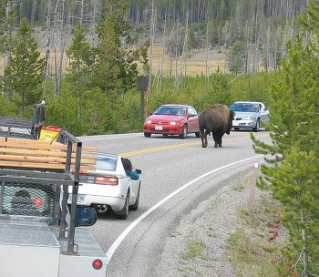On The Right Side of The Road