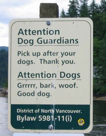 Attention Dogs
