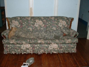 Couch Camo