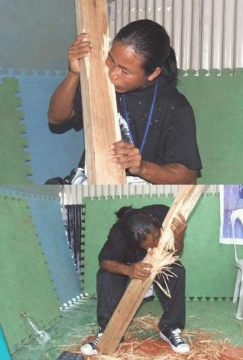 Chewing Wood