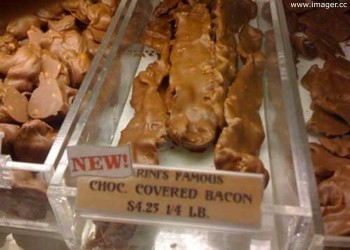 Chocolate Covered Bacon