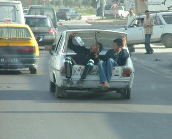 Comfort In The Trunk