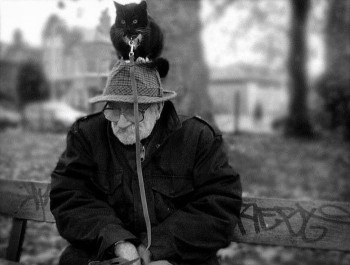 Companionship