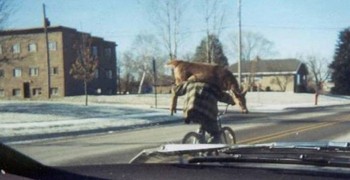 Carrying Home Dinner