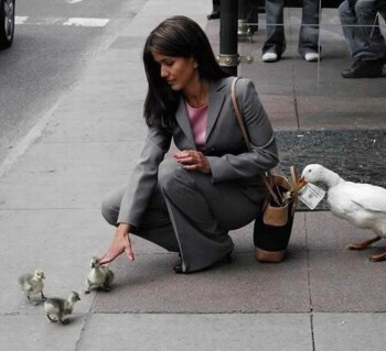 Duckling Misdirection