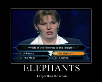 Elephants Are Larger
