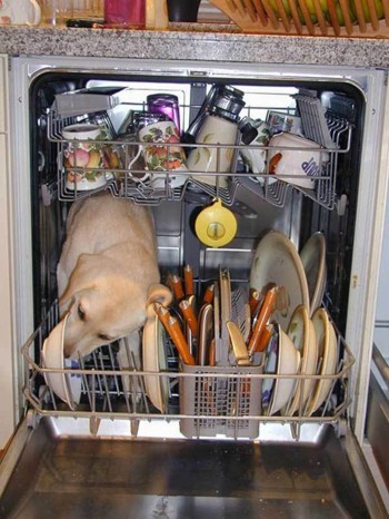 Energy Saving Dishwasher