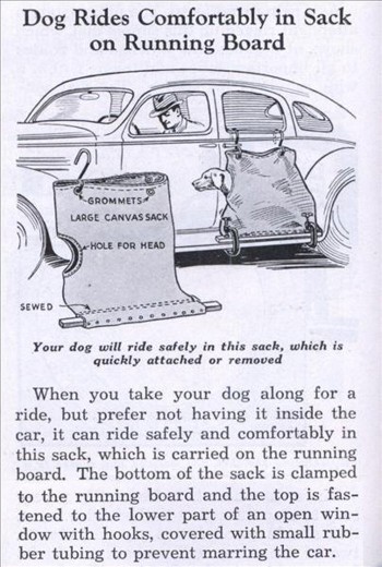 Dogsack