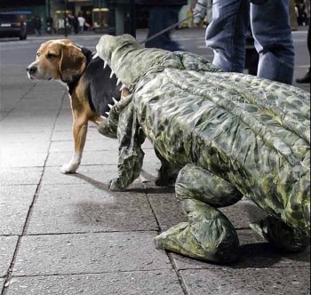 Crocodile Dog Suit