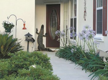 Crocodile Mailman