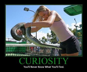 Curiosity