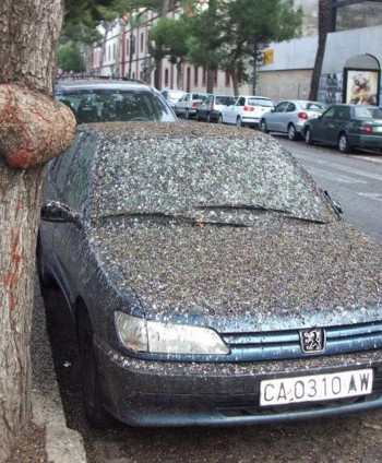 Your Car Is Dirty