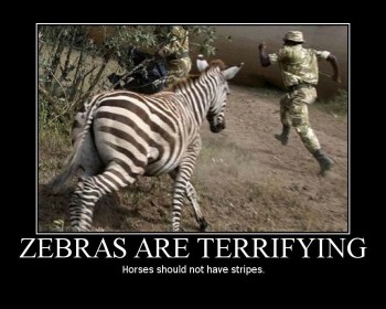 Zebras