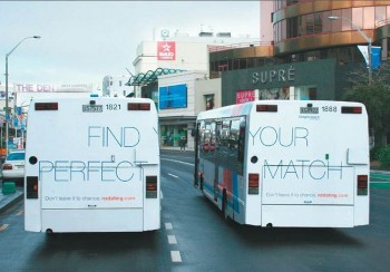 Find Your Perfect Match
