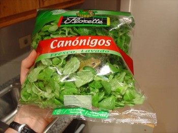 Frog Salad