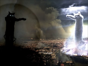 Good Cat vs Evil Cat