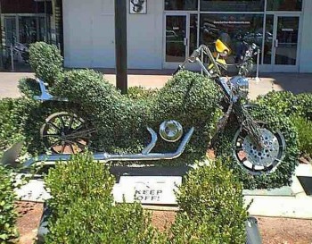 Where The Hell Is My Bike