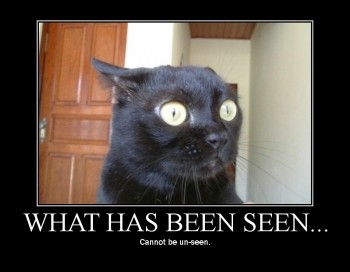 What Has Been Seen
