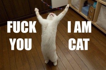 I Am Cat