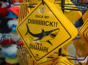 I'm A Shaaaark