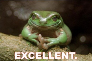 Evil Frog