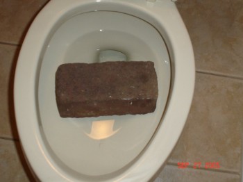 Shitting Bricks