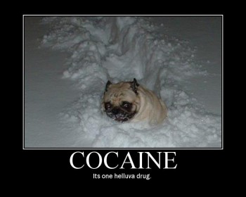 Cocaine