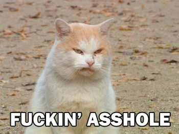 Fuckin' Asshole