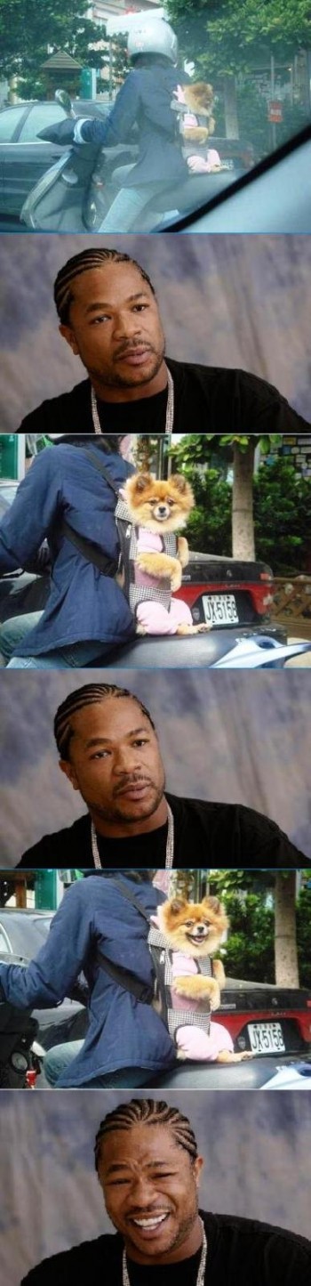 Dawg