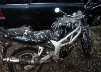 Birds Hate Motorcycles