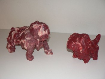 Meat Dogs