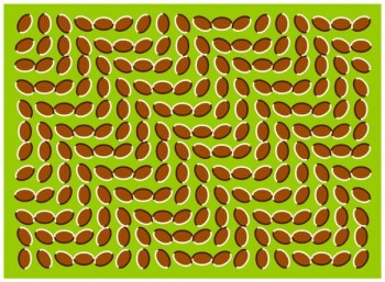 Crazy Illusion