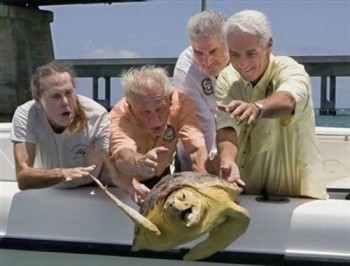Old Men Throwing a Turtle
