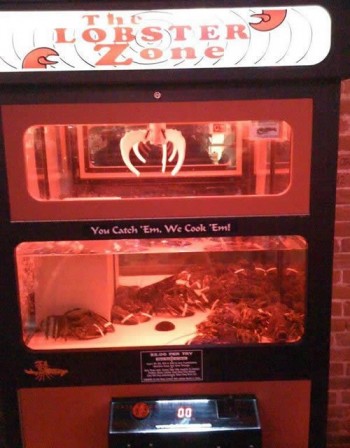 The Lobster Zone