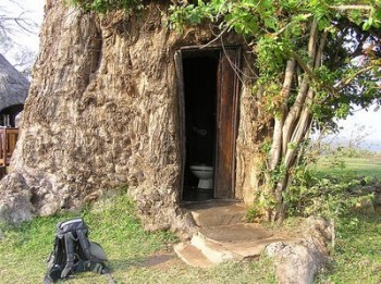 Baobab Tree Outhouse