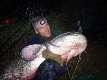 Massive Catfish