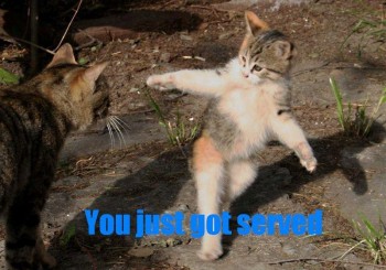 Strutting Lolcat