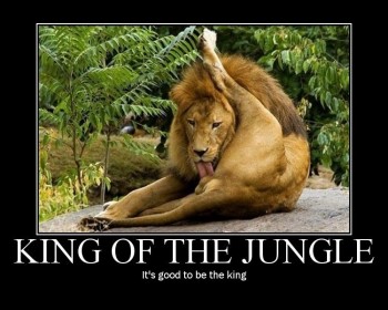 King of The Jungle